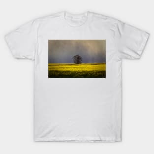 Threatening sky T-Shirt